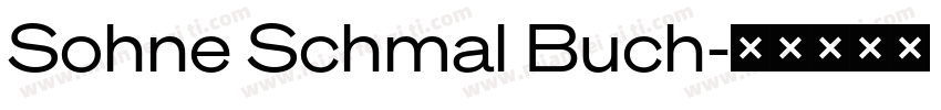 Sohne Schmal Buch字体转换